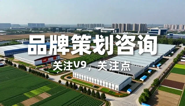 品牌策划如何驱动账号代运营业务的持续增长